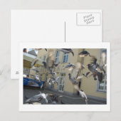 フラッタ ポストカード (正面/裏面)