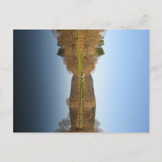 フラッディングゴルフ場 ポストカード (正面)