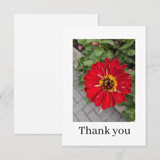 フラットな感謝カード サンキューカード (正面/裏面)