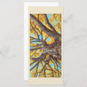 フラットカードの検索 (正面/裏面)