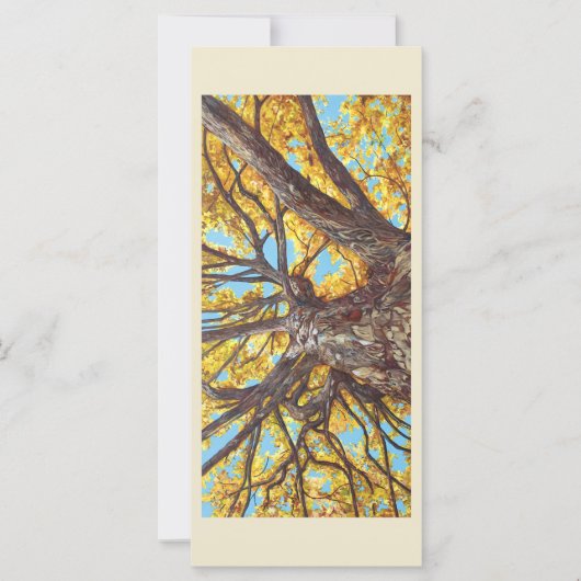 フラットカードの検索 (正面)