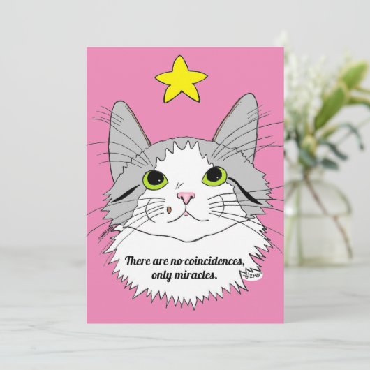 フラットカード偶然なし、唯一の奇跡の猫のギズモ (スタンド正面)