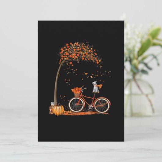 フラットカード (スタンド正面)