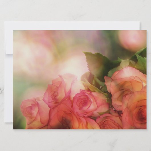 フラットカード (裏面)