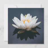 フラットカード:水上蓮 サンキューカード (正面)