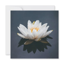 フラットカード： LOTUS