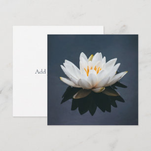 フラットカード: LOTUS サンキューカード