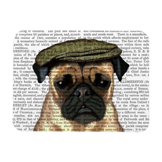 フラットキャップにパグ マグネット (横)