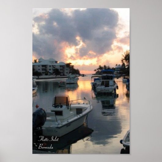 フラットツインレット – バミューダ ポスター (正面)