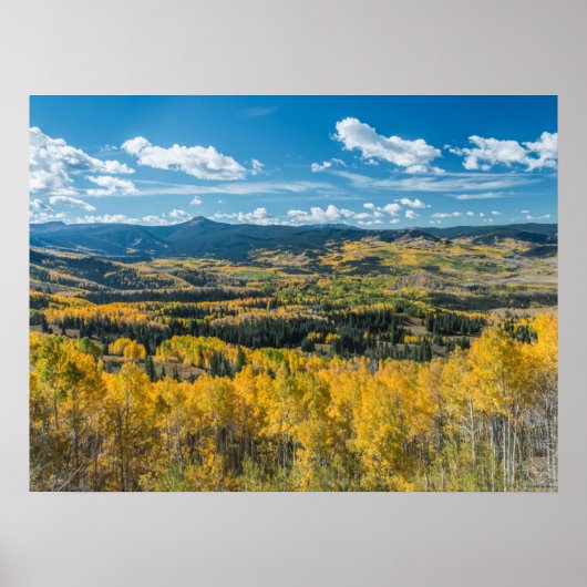 フラットトップの秋の色 |ルートナショナルフォレスト ポスター (正面)