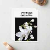 フラットノートカード – 環境関連のお知らせ ノートカード (正面/裏面インサイチュ)