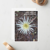 フラットノートカード(自然美しい付) ノートカード (正面/裏面インサイチュ)