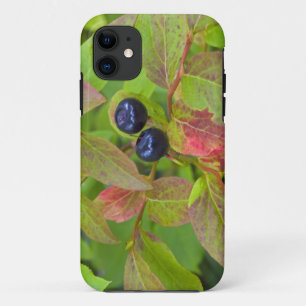 フラットヘッド国有林の熟したハックルベリー iPhone 11 ケース