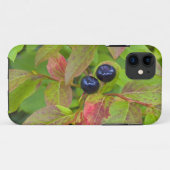 フラットヘッド国有林の熟したハックルベリー Case-Mate iPhoneケース (裏面(横))