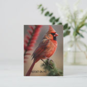 フラットホリデーカード シーズンカード (スタンド正面)