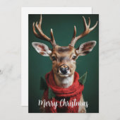 フラットホリデーカード シーズンカード (正面/裏面)