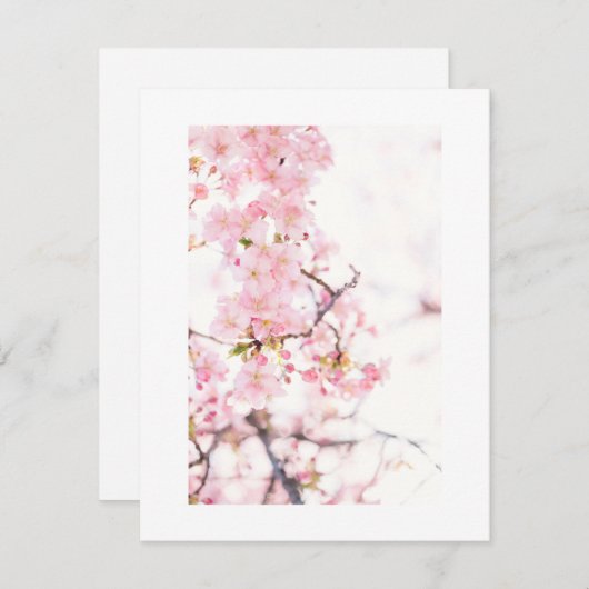フラット招待状カード:さくらんぼ花枝 招待状 (正面/裏面)