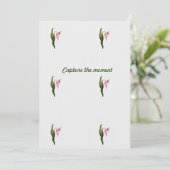 フラット注記 セーブザデート (スタンド正面)