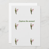 フラット注記 セーブザデート (正面/裏面)