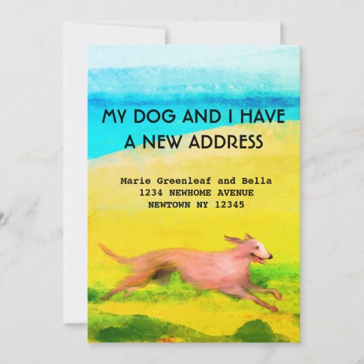 フラット発表カード 案内状 (正面)