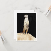 フラット グリーティング カード - ミーアキャット ラブ (正面/裏面インサイチュ)