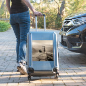 フラッパー女の子サンライズクフーピラミッド、エジプト1920 シール (スーツケースインサイチュ)