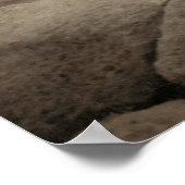 フラッパー女の子サンライズクフーピラミッド、エジプト1920 ポスター (角)