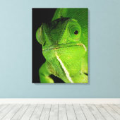 フラップネックカメレオンポートレート キャンバスプリント (インサイチュ (ウッドフロア))