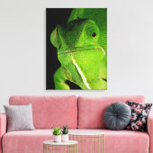 フラップネックカメレオンポートレート キャンバスプリント (インサイチュ (リビング))