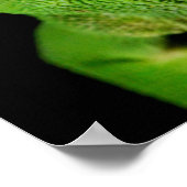 フラップネックカメレオンポートレート ポスター (角)