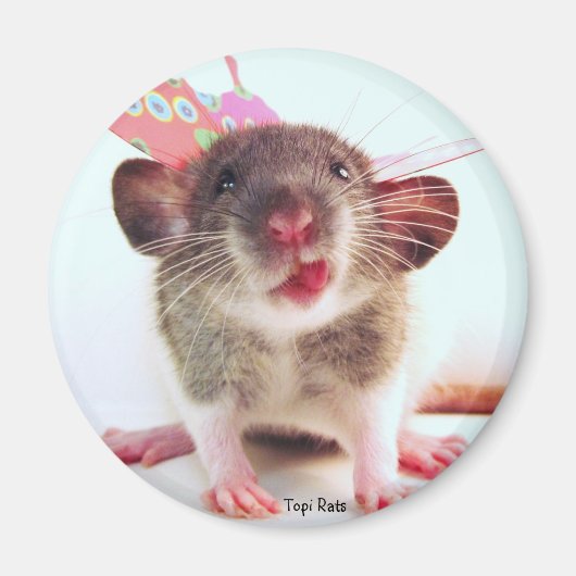 フラッ間抜けターバイラット マグネット (正面)