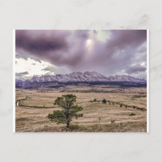 フラティロンズアットサンセット ポストカード