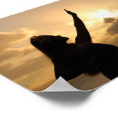 フラビーチ ポスター (角)