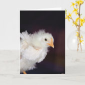 フラフカード カード (黄色い花)