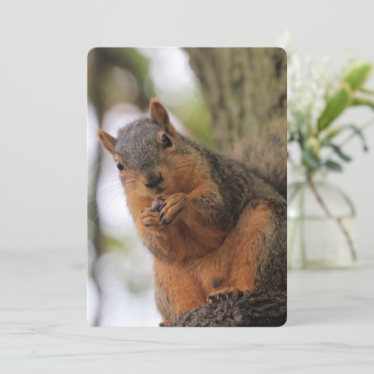 フラフキン 招待状 (スタンド正面)