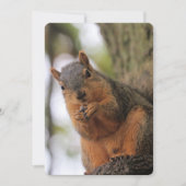 フラフキン 招待状 (正面)