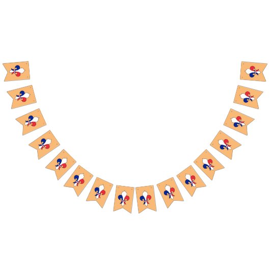 フラフランスのグ&フルーアDe Lysパーティーフランス/バナー バンティングフラッグ (全)