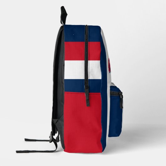 フラフランスのンスパーソナライズされた国旗の名モノグラムの プリントバックパック (左)