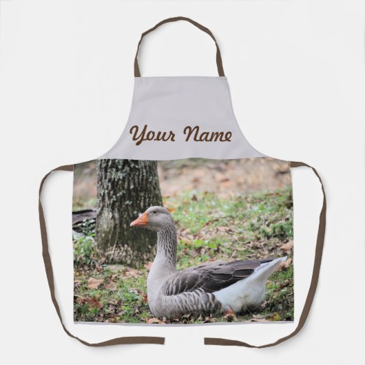 フラフ エプロン (正面)