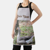 フラフ エプロン (インサイチュ)