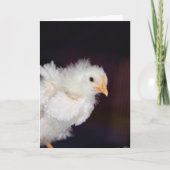 フラフ カード (正面)