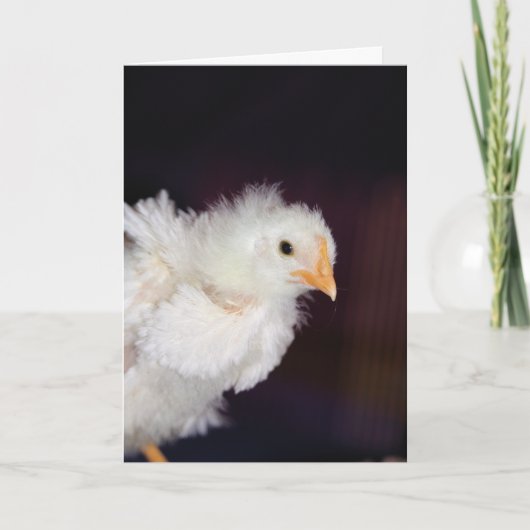 フラフ カード (正面)