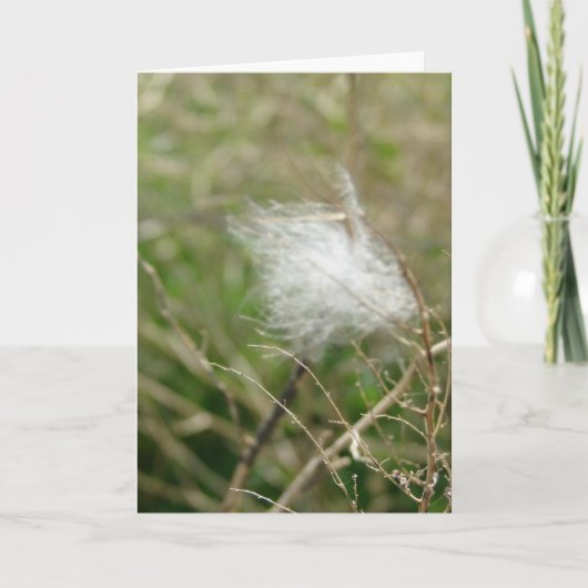 フラフ カード (正面)