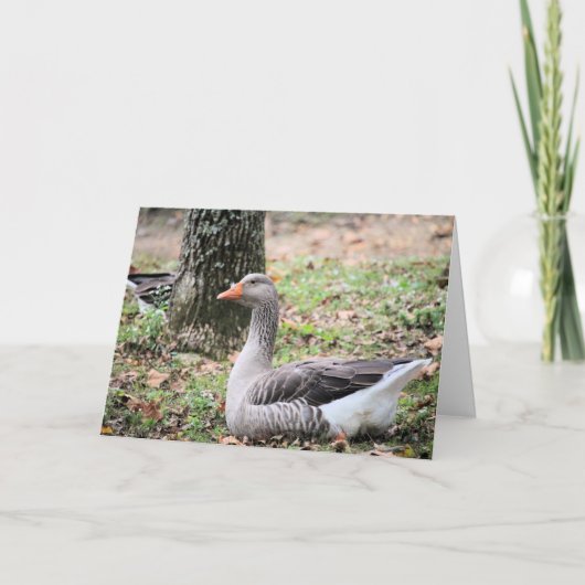 フラフ シーズンカード (正面)