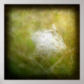 フラフ ポスター (正面)