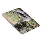 フラフ マグネット (右側)