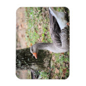 フラフ マグネット (縦)