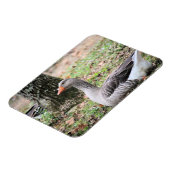 フラフ マグネット (左側)