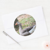 フラフ ラウンドシール (封筒)