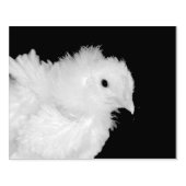 フラフ ラバースタンプ (インプリント)